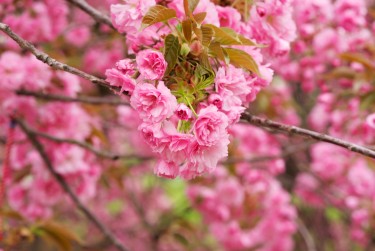 嘉兴南湖区1线下个人借款平台一站式服务，轻松解决资金难题