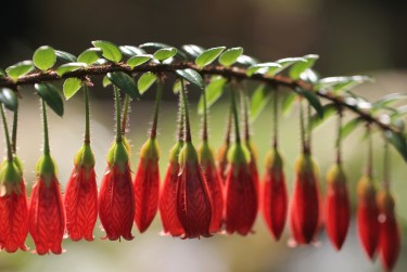 嘉兴南湖区1零用贷短借：轻松解决临时资金需求