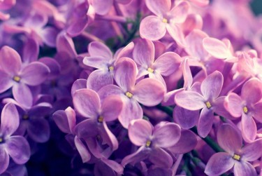 嘉兴南湖区1企业急用钱贷款攻略：快速融资解燃眉之急